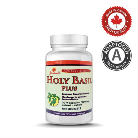Holy Basil Plus 30kaps (regeneracja, uspokojenie, wzmocnienie, pamięć, odporność, Kanada) 