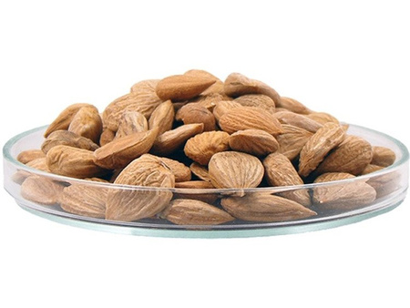 GORZKIE JĄDRA PESTKI MORELI 250G