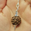 Wahadło rudraksha (wahadełko) 4,50 cm 