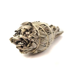 SZAŁWIA BIAŁA (15 GRAM, KADZIDŁO, ZAPACH, AROMAT)