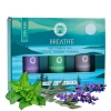 Zestaw olejków eterycznych Breathe, do aromaterapii, 15ml