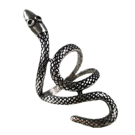 Pierścionek wąż w kolorze srebrnym, biżuteria indyjska