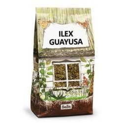 Ilex Guayusa 100g amazońska yerba mate koncentracja