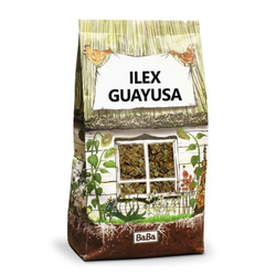 Ilex Guayusa 200g amazońska yerba mate koncentracja kolorowe sny